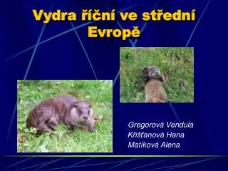 vydra n ve st edn evrop