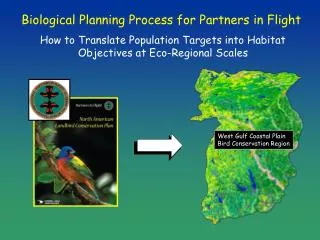 Biological Planning Process for Partners in Flight