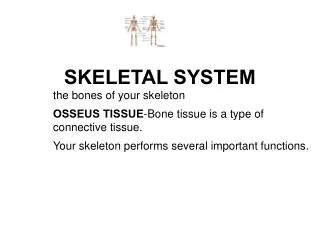 SKELETAL SYSTEM