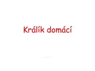 kr l k dom c