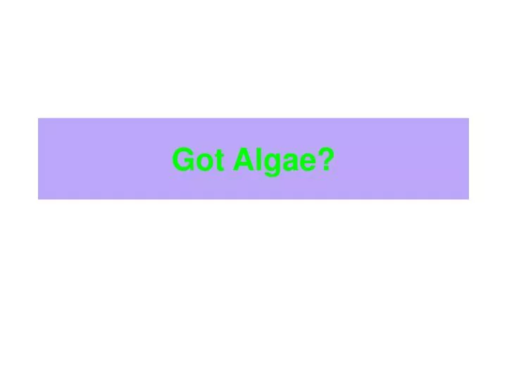 got algae