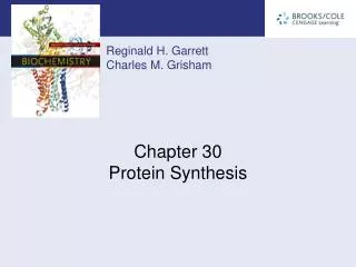 Chapter 30 Protein Synthesis