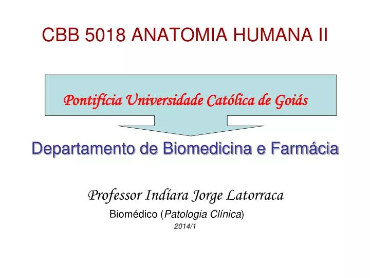 cbb 5018 anatomia humana ii