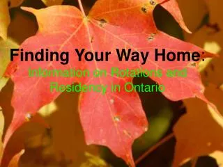 Finding Your Way Home : Information on Rotations and Residency in Ontario