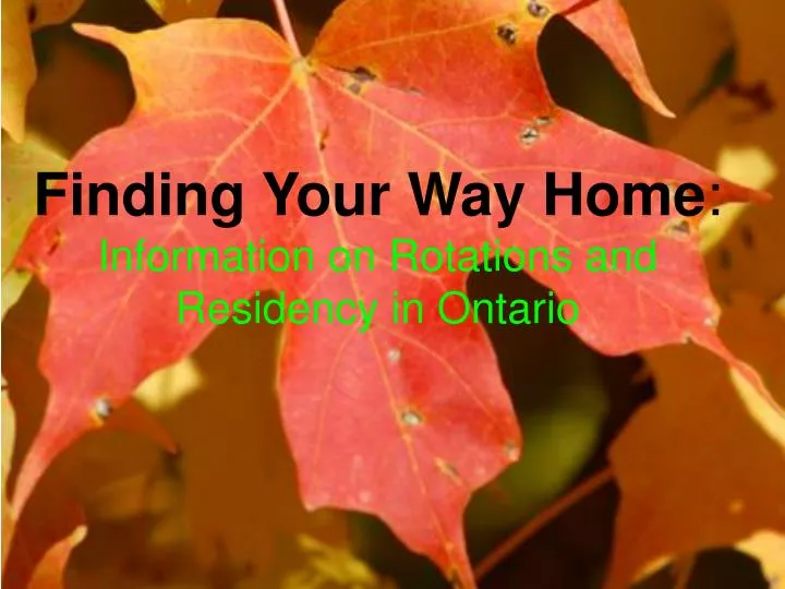 finding your way home information on rotations and residency in ontario