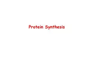 Protein Synthesis