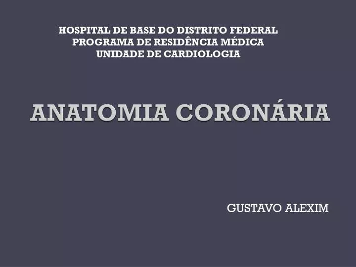 anatomia coron ria