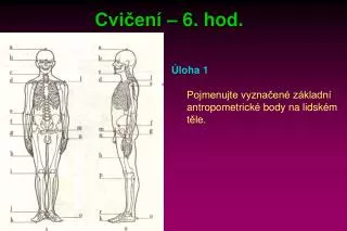 cvi en 6 hod
