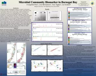 Microbial Community Biomarker in Barnegat Bay