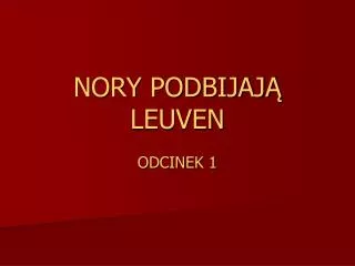 nory podbijaj leuven