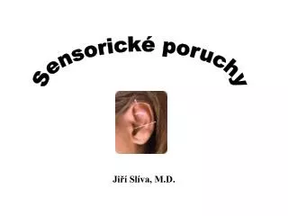 Sensorické poruchy