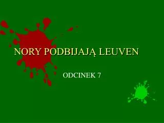 nory podbijaj leuven