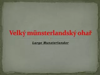 velk m nsterlandsk oha
