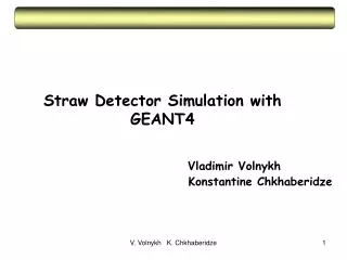 Straw Detector Simulation with GEANT4