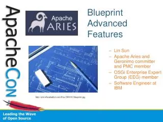 Blueprint Advanced Features