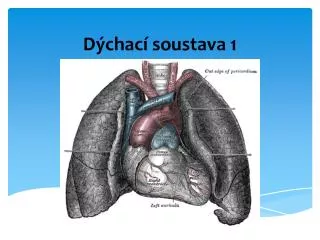 d chac soustava 1