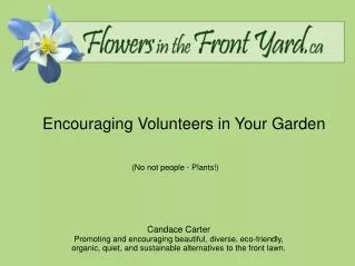 Encouraging Volunteers in Your Garden