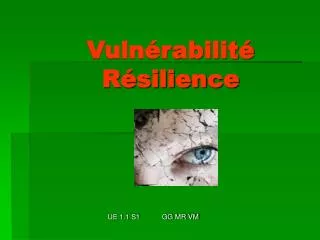 vuln rabilit r silience