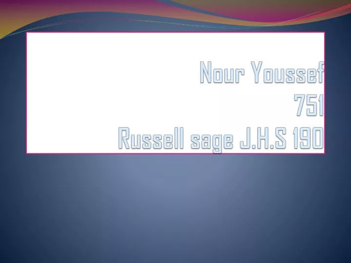 nour youssef 751 russell sage j h s 190