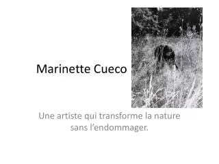 marinette cueco