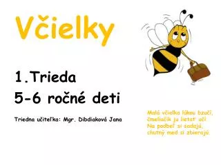 v ielky