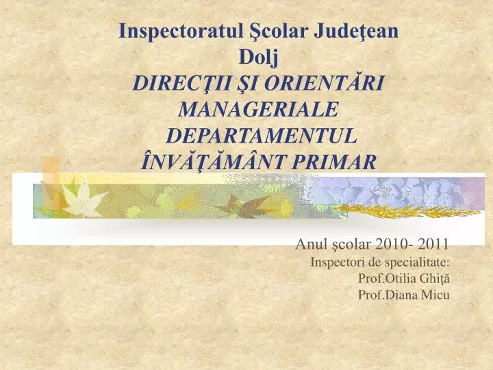 inspectoratul colar jude ean dolj direc ii i orient ri manageriale departamentul nv m nt primar