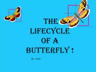 The lifecycle of a butterfly !