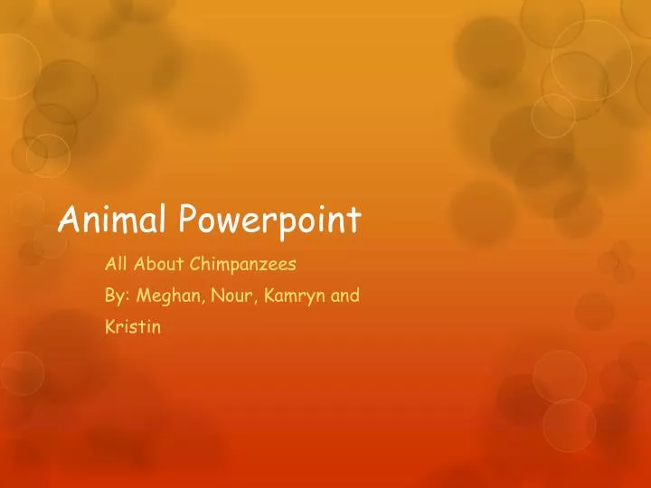 animal powerpoint