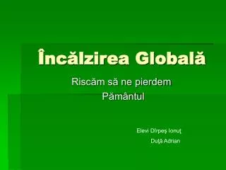 nc lzirea global