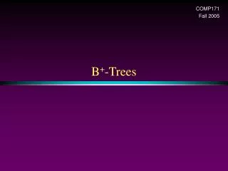 B + -Trees