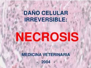 da o celular irreversible necrosis