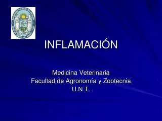 inflamaci n
