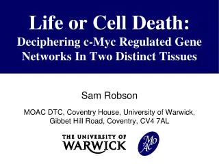 Life or Cell Death: Deciphering c- Myc Regulated Gene Networks In Two Distinct Tissues