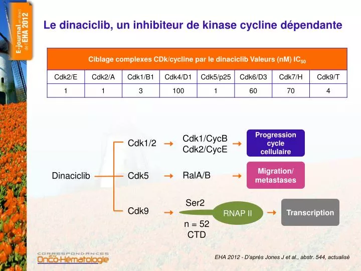 le dinaciclib un inhibiteur de kinase cycline d pendante