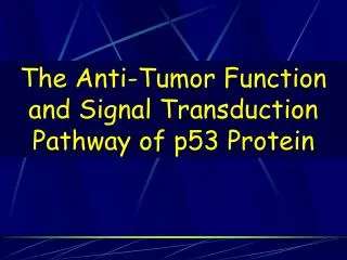 The Anti-Tumor Function and Signal Transduction Pathway of p53 Protein