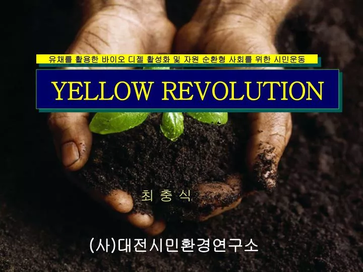 yellow revolution