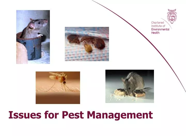 issues for pest management