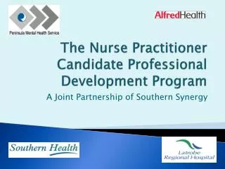 The Nurse Practitioner Candidate Professional Development Program