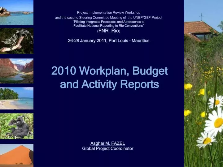 2010 workplan budget and activity reports