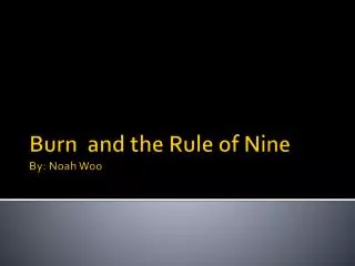 Burn and the Rule of Nine By: Noah Woo