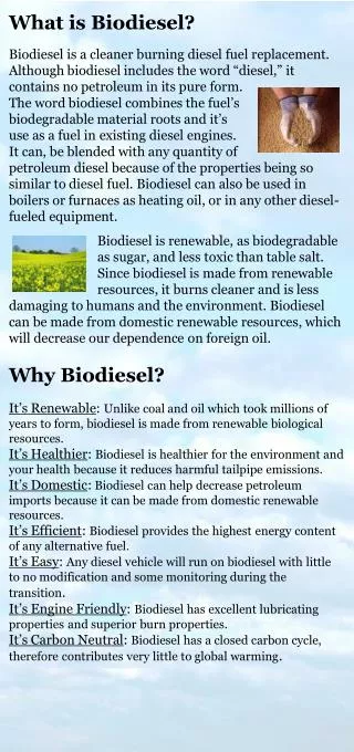 Can I Use Biodiesel in My Existing Diesel Engine?