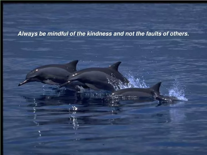 always be mindful of the kindness and not the faults of others