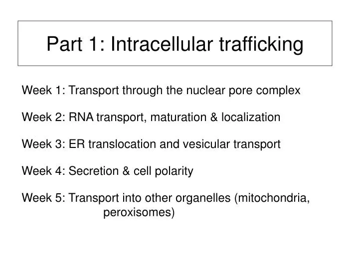 part 1 intracellular trafficking