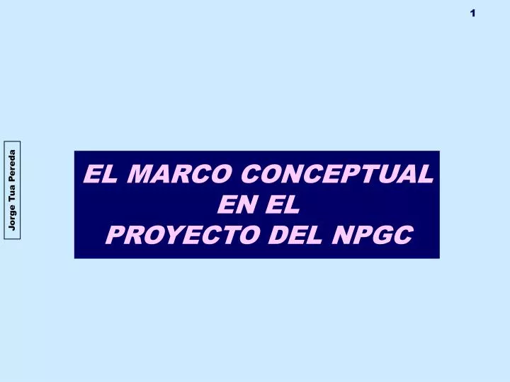 el marco conceptual en el proyecto del npgc