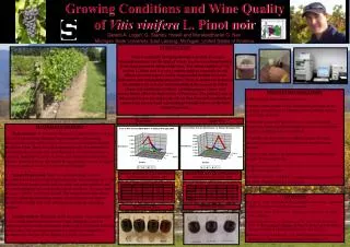 Growing Conditions and Wine Quality of Vitis vinifera L. Pinot noir