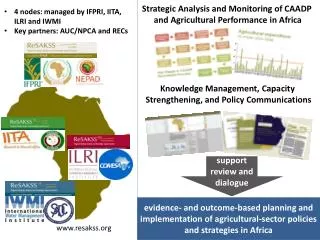 Strategic Analysis and Monitoring of CAADP and Agricultural Performance in Africa