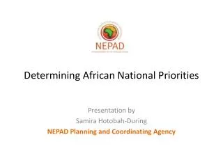 Determining African National Priorities