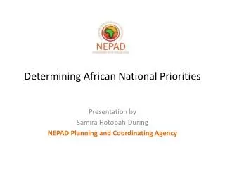 determining african national priorities