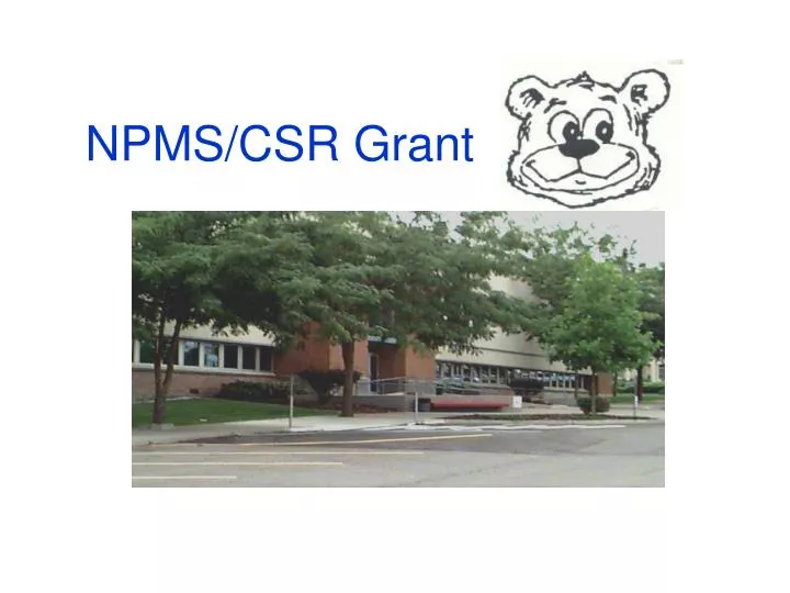 npms csr grant
