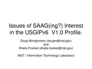 Issues of SAAG(ing?) Interest in the USGIPv6 V1.0 Profile.